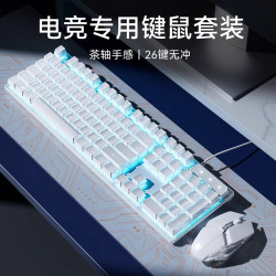 鍵盤滑鼠套裝機械桌上型電腦通用電競遊戯專用茶軸筆記型電腦有線款