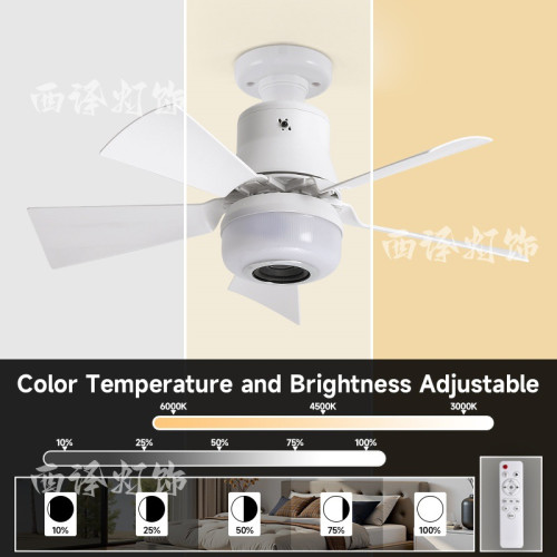 新款RGB藍牙音響風扇燈e27螺口led吊扇燈扇葉可拆卸臥室客廳吸頂 新款RGB藍牙音響風扇燈e27螺口led吊扇燈扇葉可拆卸臥室客廳吸頂