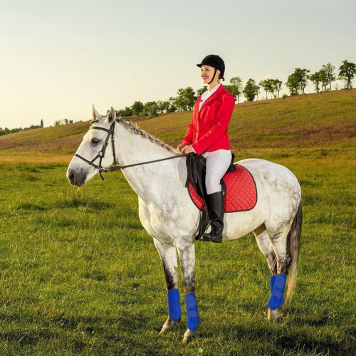 新款馬腿防撞綁帶戶外馬術護具馬腿受傷保護保護套 新款馬腿防撞綁帶戶外馬術護具馬腿受傷保護保護套