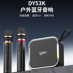 DY53藍牙音響戶外廣場舞家用K歌無線話筒可攜式手提音箱一體musky