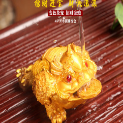 金蟾茶寵擺件可養變色茶具配件茶桌茶盤茶道金蟬茶台蟾蜍