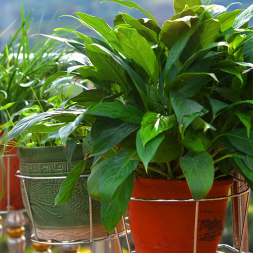 不鏽鋼吊蘭懸掛架家用陽台欄桿花盆掛籃護欄窗台綠蘿置物架花架子 不鏽鋼吊蘭懸掛架家用陽台欄桿花盆掛籃護欄窗台綠蘿置物架花架子