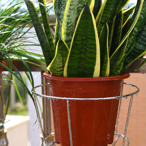 不鏽鋼吊蘭懸掛架家用陽台欄桿花盆掛籃護欄窗台綠蘿置物架花架子 不鏽鋼吊蘭懸掛架家用陽台欄桿花盆掛籃護欄窗台綠蘿置物架花架子