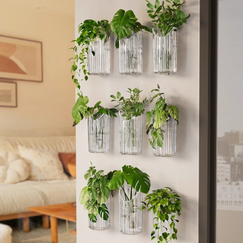 水培綠植花盆掛牆上吊蘭綠蘿植物器皿透明免打孔家居裝飾壁掛花瓶 水培綠植花盆掛牆上吊蘭綠蘿植物器皿透明免打孔家居裝飾壁掛花瓶