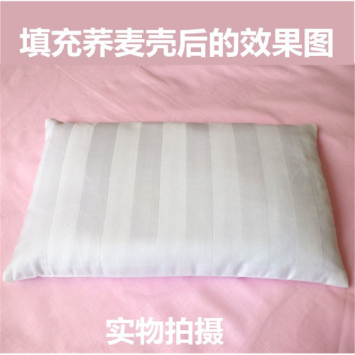 雙層枕芯套內膽套純棉拉鍊蕎麥決明子枕頭皮兒童加厚雙人抱枕靠枕