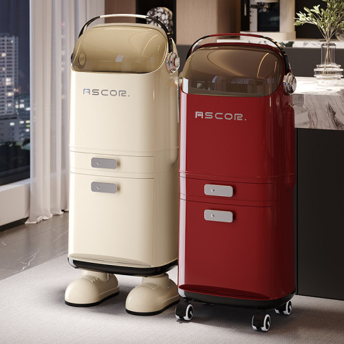 廚房分類垃圾桶帶蓋家用高級感廚餘乾溼分離大號大容量高顔值帶輪