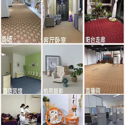 家用臥室全鋪房間地毯辦公室商用地墊大面積攝影棚自由裁剪出租屋 家用臥室全鋪房間地毯辦公室商用地墊大面積攝影棚自由裁剪出租屋