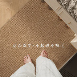 仿劍麻入戶門地墊可裁剪可機洗地毯新款耐髒門口家用腳