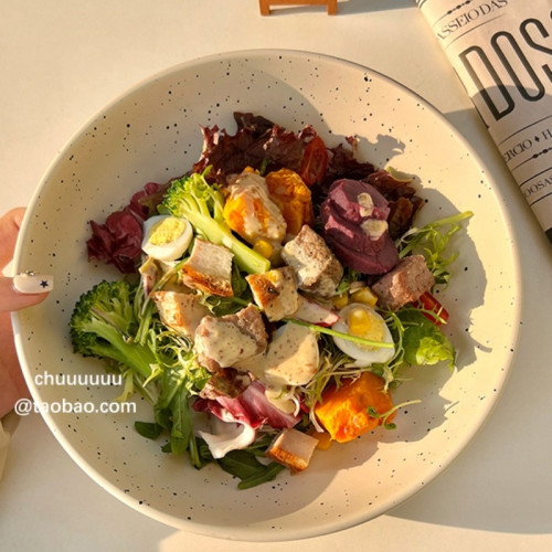 ins風墨點盤子陶瓷潑墨碗大號深盤水果沙拉家用咖喱飯泡麵碗湯盤