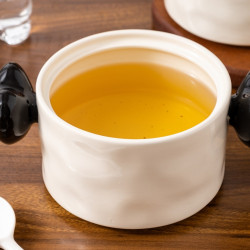 陶瓷豬油罐耐高溫食品級2025新款豬油罐多功能雙耳調料罐紅油罐子