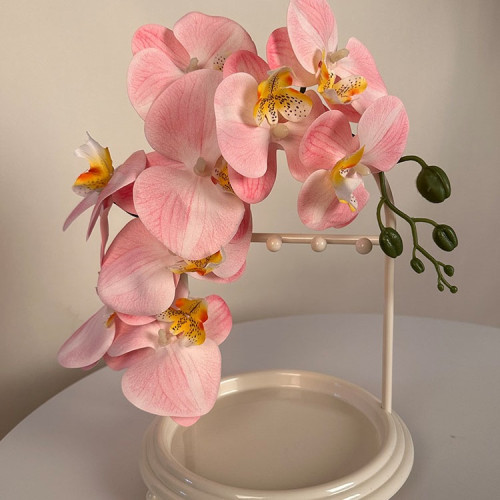 鞋托支架裝婚鞋的盒子婚鞋托架婚鞋架diy婚鞋盒子創意展示架 鞋托支架裝婚鞋的盒子婚鞋托架婚鞋架diy婚鞋盒子創意展示架