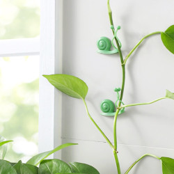 綠蘿綠植爬牆固定無痕家用釦攀爬室內蔓藤植物牆上掛鉤固定夾