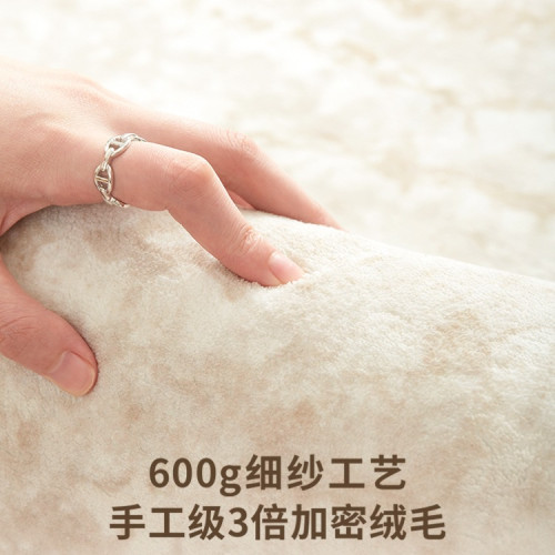 地毯客廳2025新款奶油臥室地墊家用沙發防水防汙輕奢感天津 地毯客廳2025新款奶油臥室地墊家用沙發防水防汙輕奢感天津