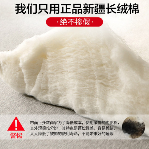 新疆棉花墊被褥子床墊軟墊家用榻榻米墊學生宿舍單人床墊褥雙人炕 新疆棉花墊被褥子床墊軟墊家用榻榻米墊學生宿舍單人床墊褥雙人炕