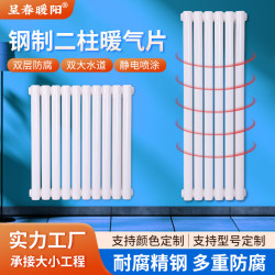 暖氣片家用鋼製二柱暖氣片壁掛散熱器集中立式煤改氣水暖