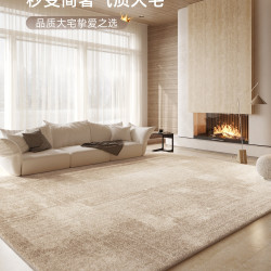 地毯客廳2025新款免洗可擦沙發地墊家用輕奢感臥室床邊毯天津