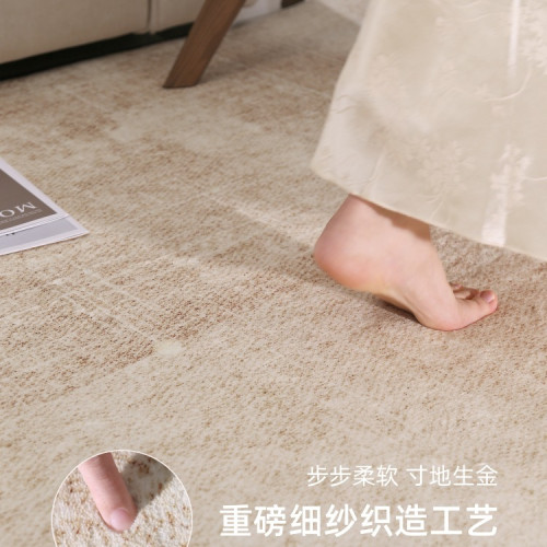 地毯客廳2025新款免洗可擦沙發地墊家用輕奢感臥室床邊毯天津 地毯客廳2025新款免洗可擦沙發地墊家用輕奢感臥室床邊毯天津