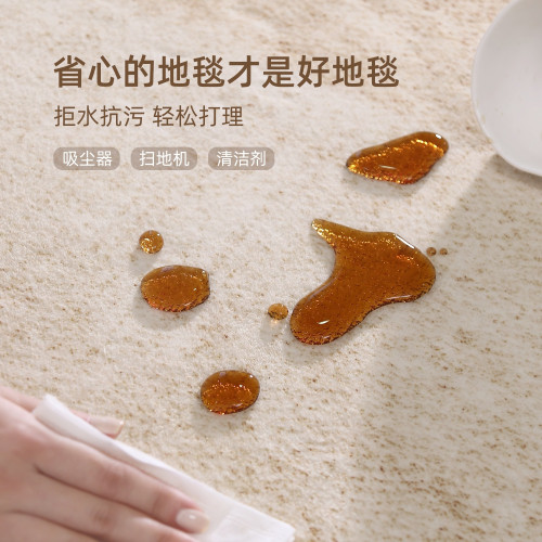 地毯客廳2025新款免洗可擦沙發地墊家用輕奢感臥室床邊毯天津 地毯客廳2025新款免洗可擦沙發地墊家用輕奢感臥室床邊毯天津