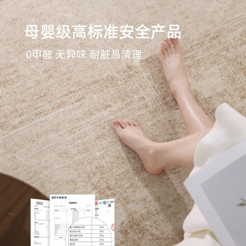 地毯客廳2025新款免洗可擦沙發地墊家用輕奢感臥室床邊毯天津 地毯客廳2025新款免洗可擦沙發地墊家用輕奢感臥室床邊毯天津