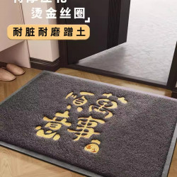 入戶門地墊絲圈防滑入戶地毯大門口進門腳墊入門蹭腳墊子門外門墊