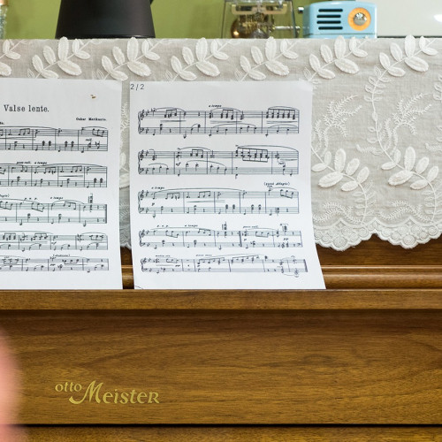 淺枝素意鋼琴罩白色蕾絲半罩法式防塵保護全罩電子琴凳罩布 淺枝素意鋼琴罩白色蕾絲半罩法式防塵保護全罩電子琴凳罩布