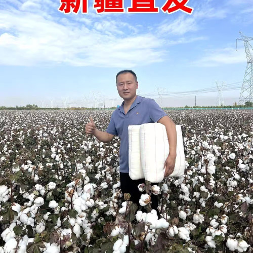 新疆長絨棉花被純棉被子被芯棉絮床墊被褥子加厚保暖學生冬被 新疆長絨棉花被純棉被子被芯棉絮床墊被褥子加厚保暖學生冬被