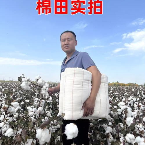 新疆長絨棉花被純棉被子被芯棉絮床墊被褥子加厚保暖學生冬被 新疆長絨棉花被純棉被子被芯棉絮床墊被褥子加厚保暖學生冬被