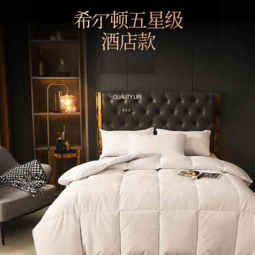 五酒店被子被芯類似白鵞絨羽絨被春秋被棉被冬被加厚保暖秋冬 五酒店被子被芯類似白鵞絨羽絨被春秋被棉被冬被加厚保暖秋冬