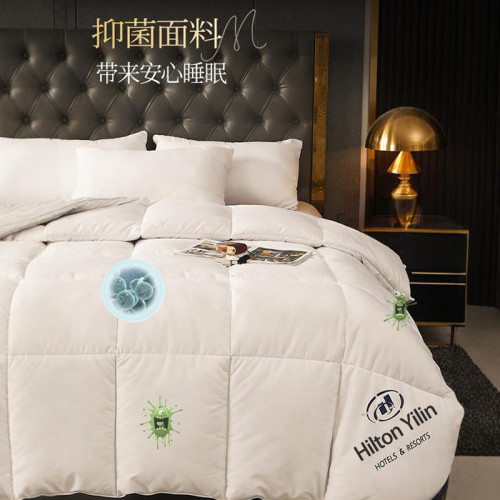 五酒店被子被芯類似白鵞絨羽絨被春秋被棉被冬被加厚保暖秋冬 五酒店被子被芯類似白鵞絨羽絨被春秋被棉被冬被加厚保暖秋冬