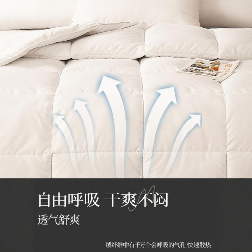 五酒店被子被芯類似白鵞絨羽絨被春秋被棉被冬被加厚保暖秋冬 五酒店被子被芯類似白鵞絨羽絨被春秋被棉被冬被加厚保暖秋冬
