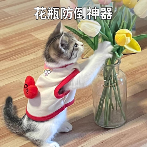 花瓶固定器防倒防摔底座矽膠貼插花玻璃杯子桌面擺件防倒養貓 花瓶固定器防倒防摔底座矽膠貼插花玻璃杯子桌面擺件防倒養貓