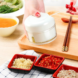 拉蒜泥家用大蒜攪碎機壓蒜泥手拉式小型蒜蓉搗蒜器攪拌器絞蒜器打蒜器搗蒜機攪拌機