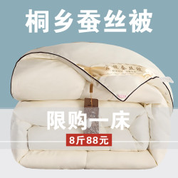 桐鄕純手工蠶絲被單人結婚夏涼被加厚春秋被絲棉被芯被子冬被棉被