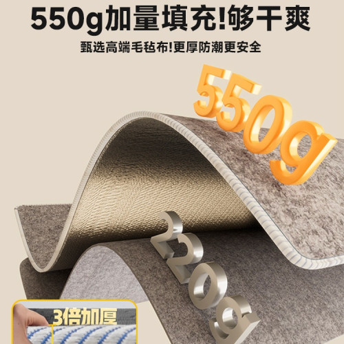 大學生宿舍防潮墊防溼防黴防蟎隔髒墊床上用隔潮毛氈墊子四季加厚 大學生宿舍防潮墊防溼防黴防蟎隔髒墊床上用隔潮毛氈墊子四季加厚