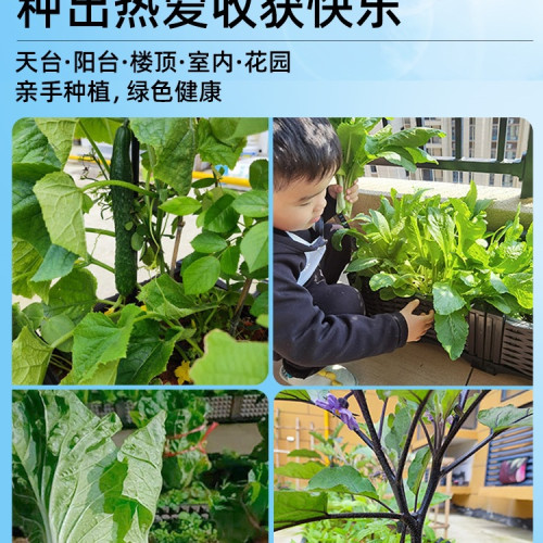 30花箱種植箱戶外庭院家用花盆塑膠大號蔬菜方形種菜箱陽台 30花箱種植箱戶外庭院家用花盆塑膠大號蔬菜方形種菜箱陽台