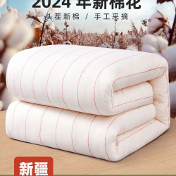 新疆長絨棉花被芯棉絮床墊被褥子學生宿舍春秋冬被純手工棉被鋪底
