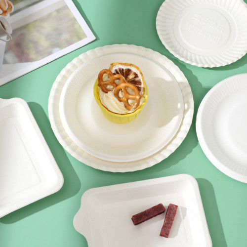 一次性紙盤子加厚正方形紙漿盤圓紙碟長方形紙盤蛋糕試吃繪畫餐盤 一次性紙盤子加厚正方形紙漿盤圓紙碟長方形紙盤蛋糕試吃繪畫餐盤