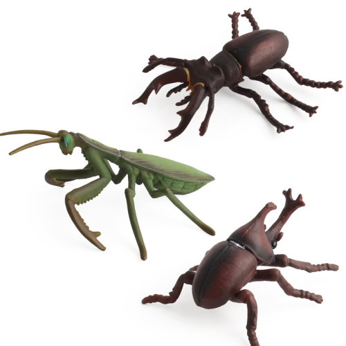 仿真實心崑蟲模型動物沙盤場景擺設科教認知動物模型6款