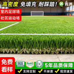 青洲加密庭院別墅人造足球草仿真草坪塑膠高爾夫草皮