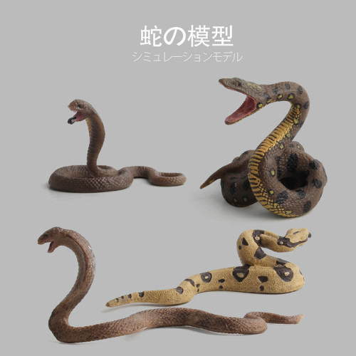 貝殼魚動物模型玩具 野生仿真動物模型 毒蛇模型玩具 貝殼魚動物模型玩具 野生仿真動物模型 毒蛇模型玩具