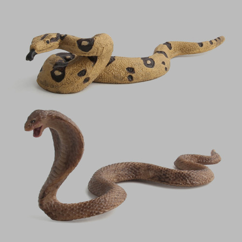 貝殼魚動物模型玩具 野生仿真動物模型 毒蛇模型玩具 貝殼魚動物模型玩具 野生仿真動物模型 毒蛇模型玩具