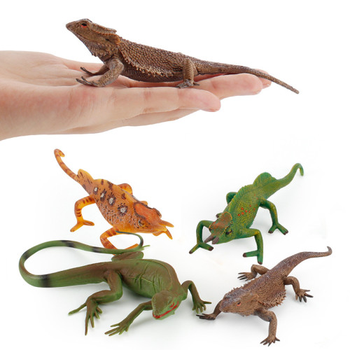 兒童仿真科教兩棲動物蜥蜴變色龍多款實心塑膠擺件禮品玩具 兒童仿真科教兩棲動物蜥蜴變色龍多款實心塑膠擺件禮品玩具