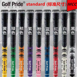 高爾夫球桿揮桿握把高爾夫揮桿練習器高爾夫用品（標準）