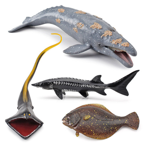 仿真海洋模型玩具 鯨魚比目魚海洋館模型 兒童科教玩具 仿真海洋模型玩具 鯨魚比目魚海洋館模型 兒童科教玩具