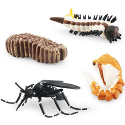 仿真崑蟲模型玩具蝸牛蜻蜓成長周期生命階段認知靜態擺件