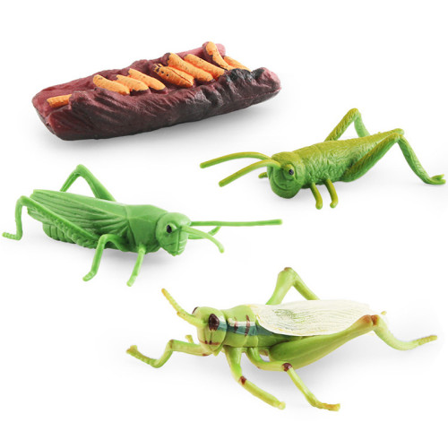 仿真崑蟲模型玩具蝸牛蜻蜓成長周期生命階段認知靜態擺件 仿真崑蟲模型玩具蝸牛蜻蜓成長周期生命階段認知靜態擺件