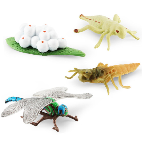 仿真崑蟲模型玩具蝸牛蜻蜓成長周期生命階段認知靜態擺件 仿真崑蟲模型玩具蝸牛蜻蜓成長周期生命階段認知靜態擺件