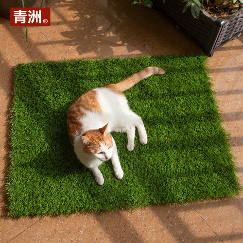 青洲狗狗厠所草坪尿墊人造草坪庭院裝飾草坪寵物周邊用品家用