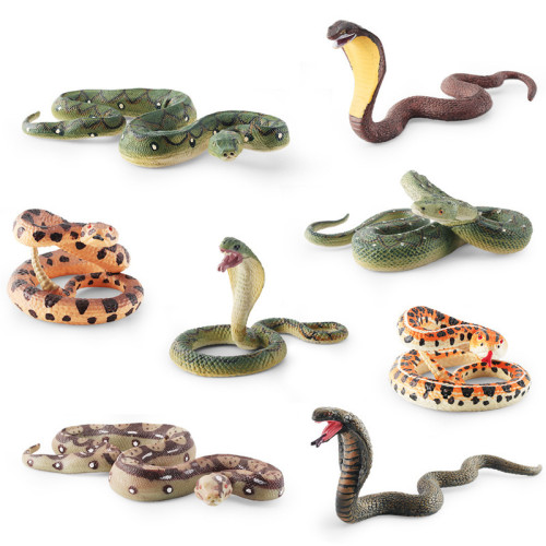 新品仿真兩棲動物蟒蛇模型響尾蛇眼鏡蛇整盅靜態桌面擺件 新品仿真兩棲動物蟒蛇模型響尾蛇眼鏡蛇整盅靜態桌面擺件
