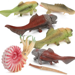 鸚鵡螺桿菊石鄧氏魚裝飾擺件玩具仿真海洋遠古生物模型